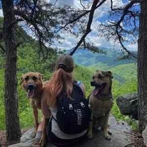 Meet your Posher, Michelle